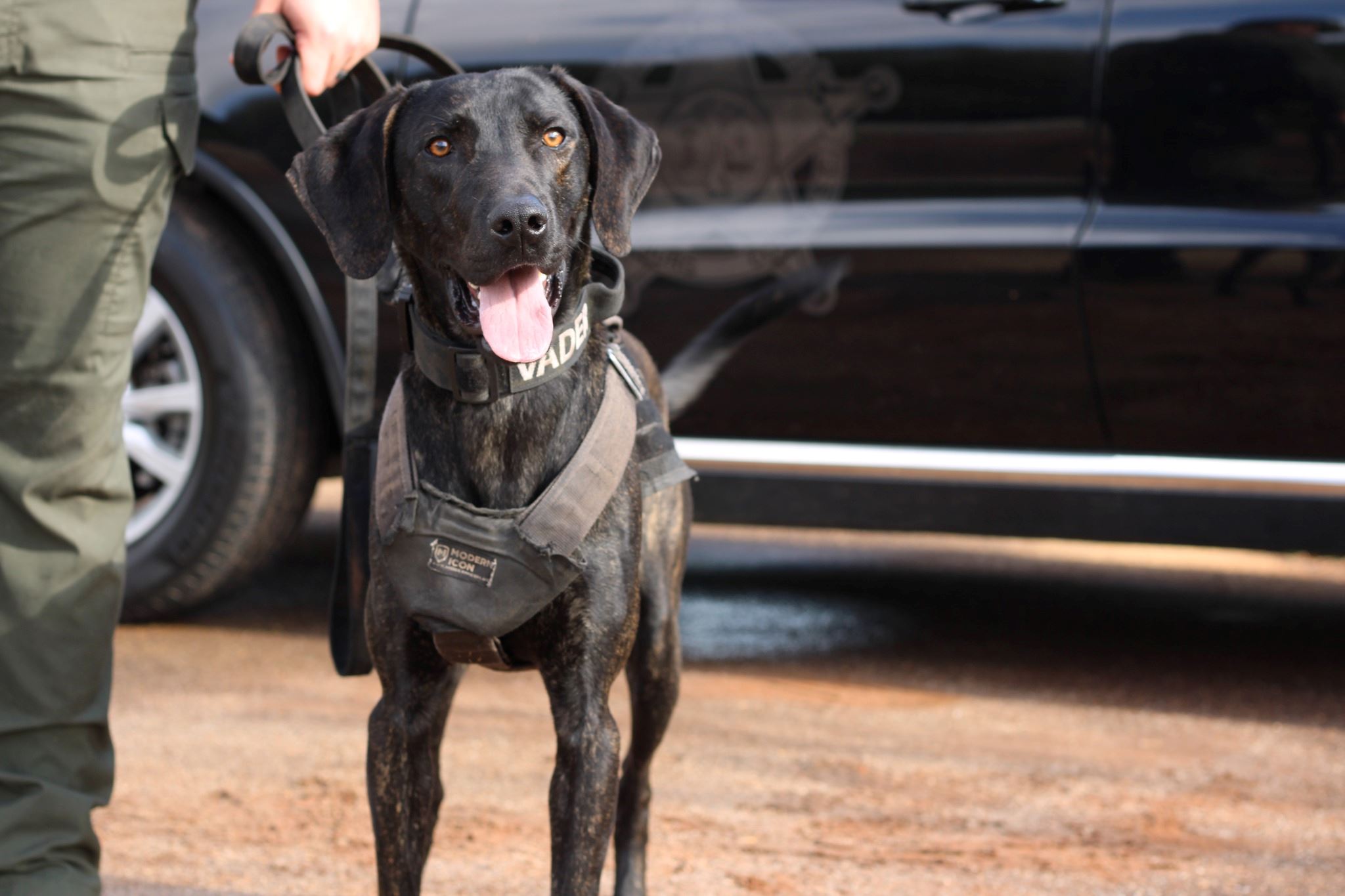 456483895_917680240385696_7896768353671536496_n